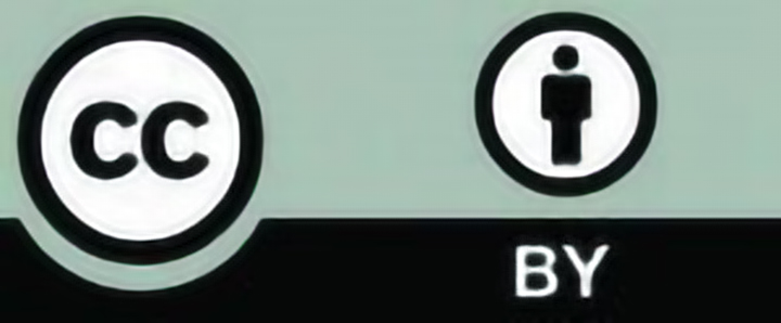 Creative Commons License